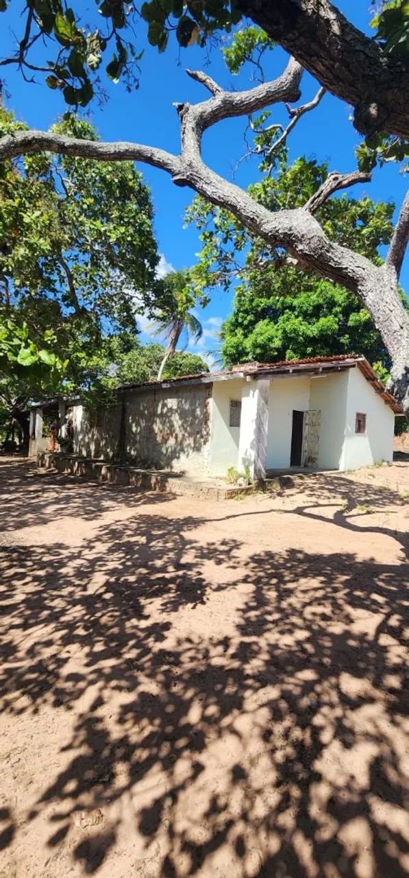Terreno em Macaíba  - Foto 5