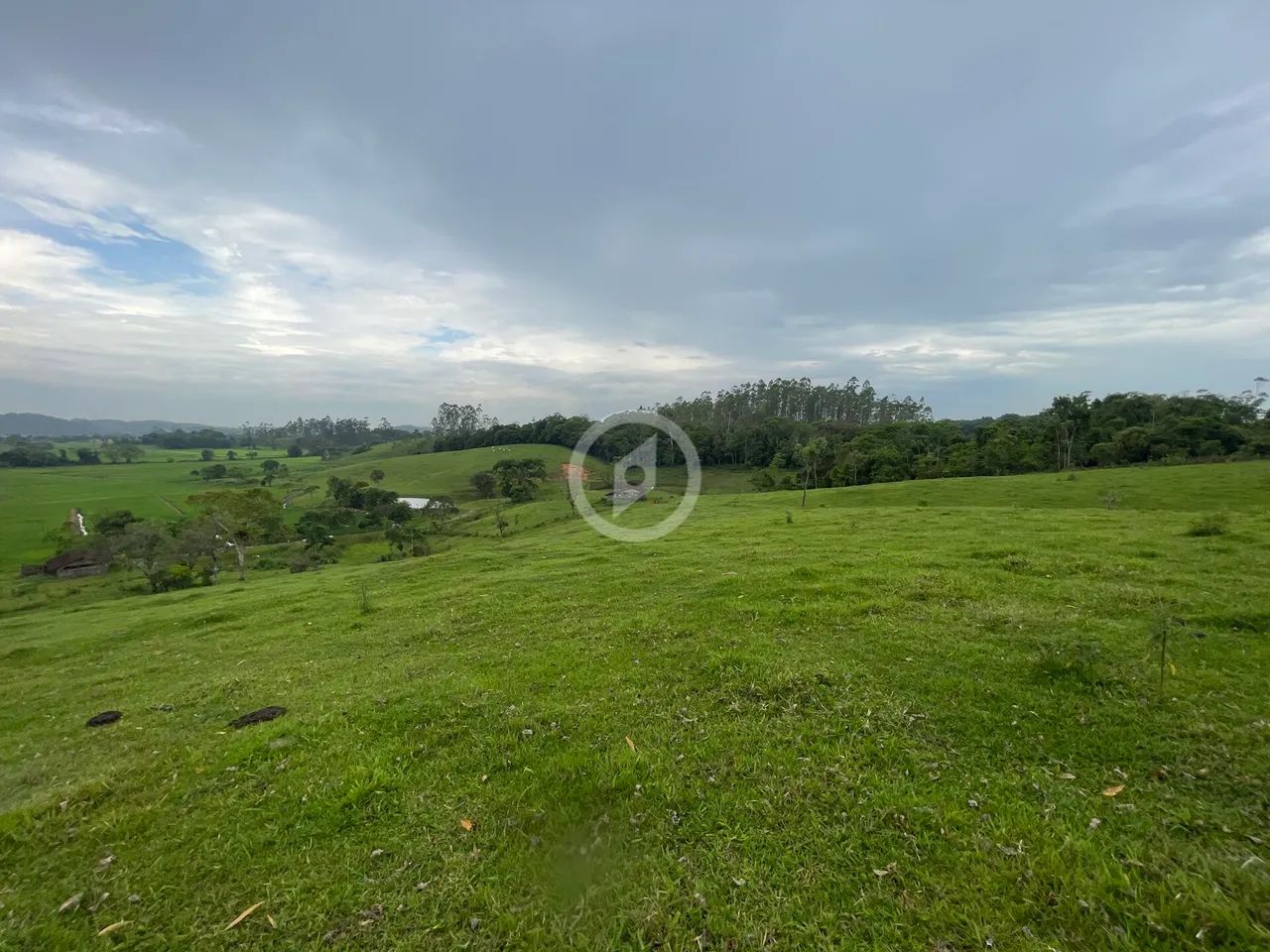 Terreno com pastagem de ampla metragem - Foto 4