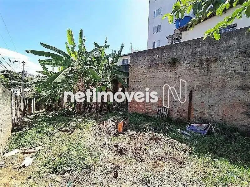 Excelente terreno no Santa Cruz / Palmares!!! - Foto 3