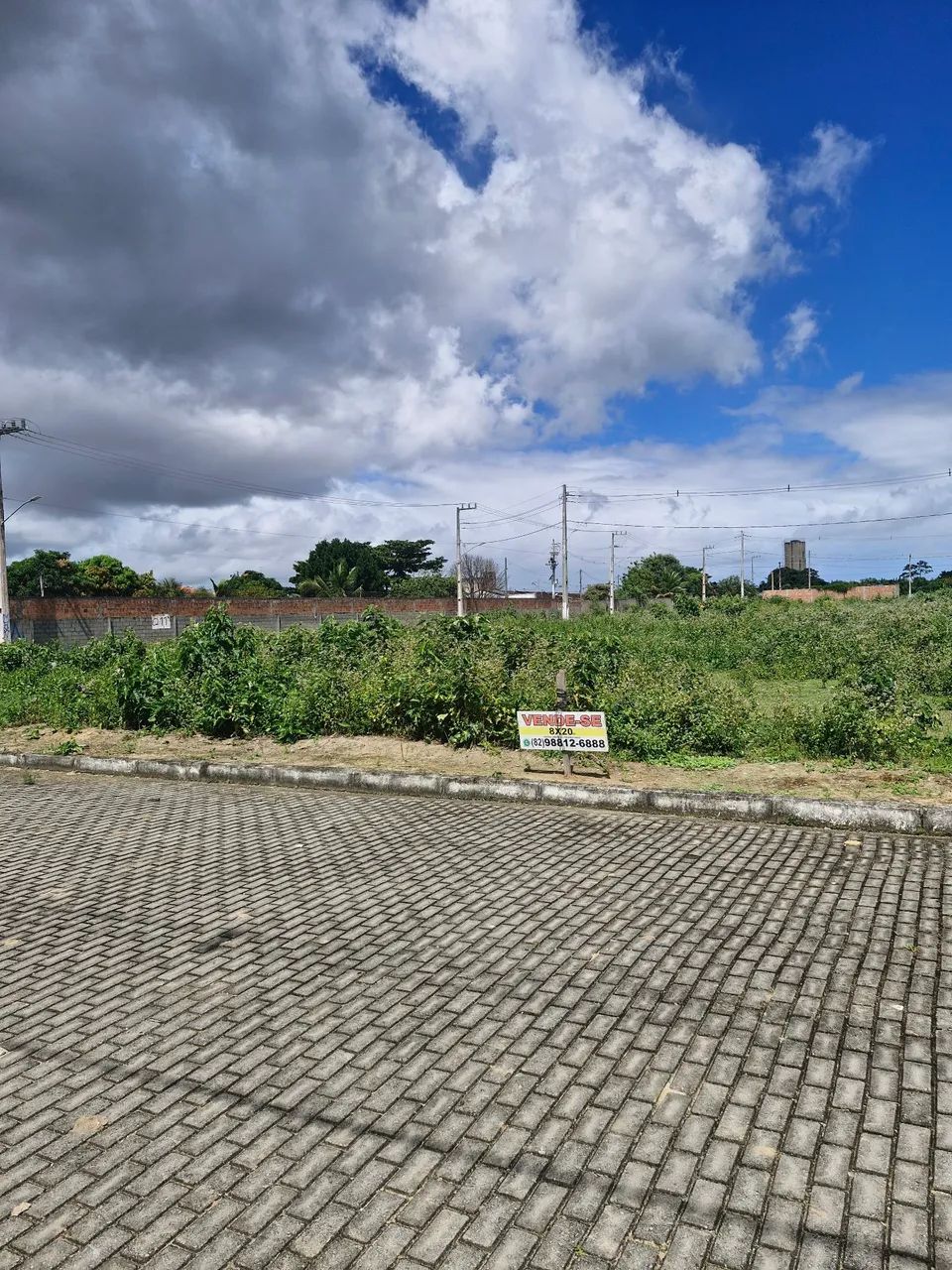 Lote Colorado  - Foto 2
