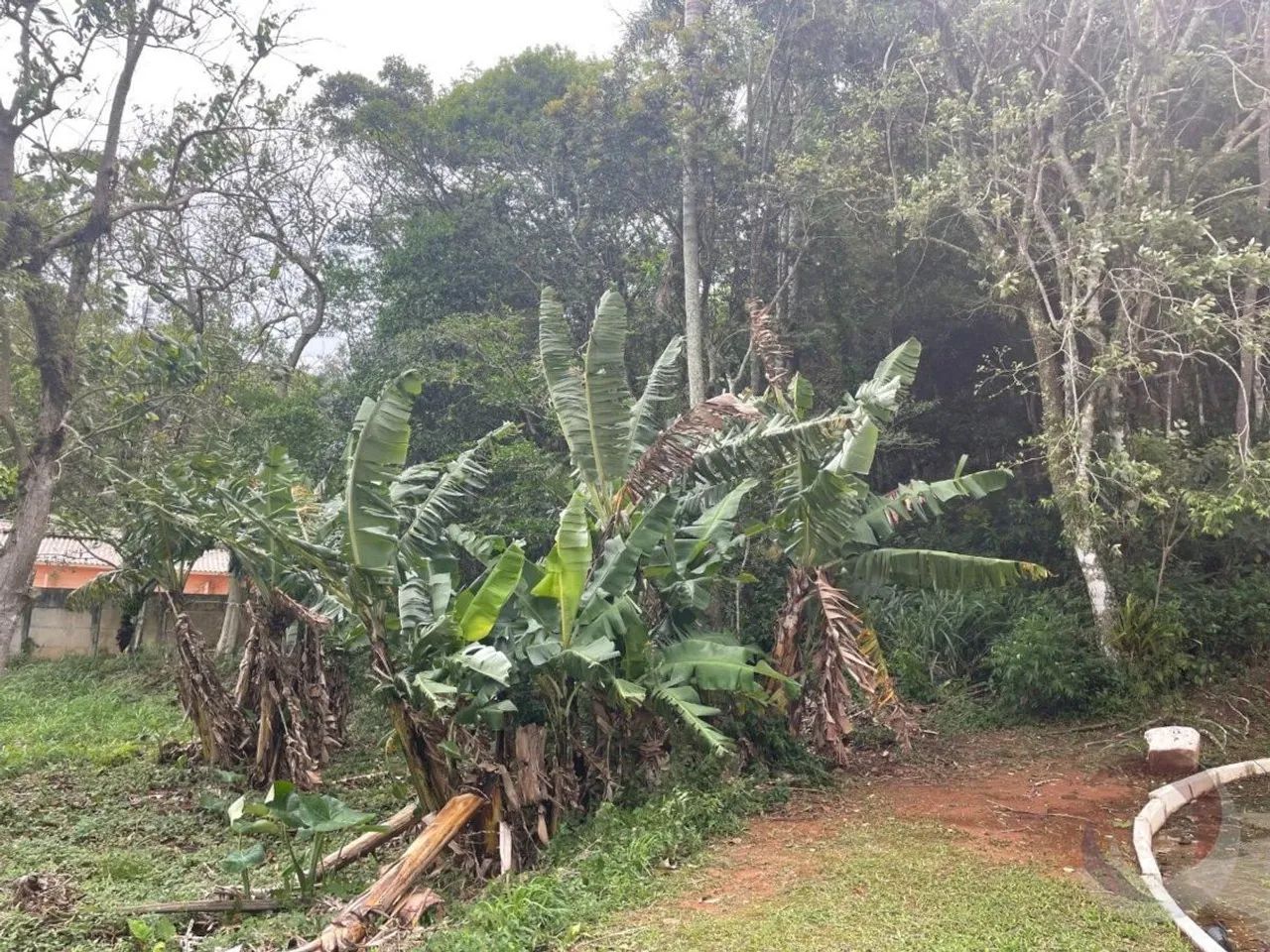 Terreno para Venda em Florianópolis, Morro das Pedras - Foto 3