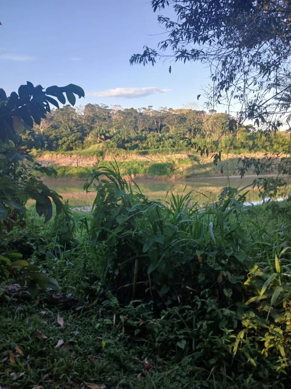 Vendo essa chácara  - Foto 3