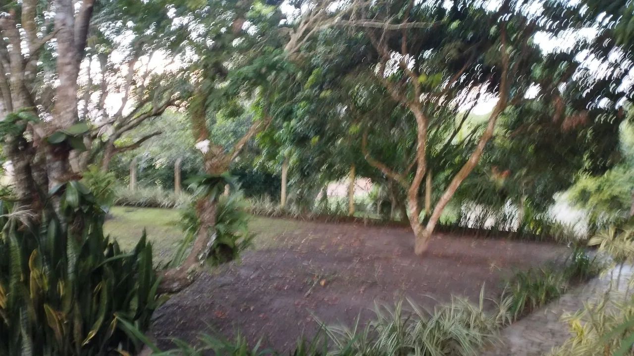 Vendo Sítio no Povoado Aningas São Cristóvão  - Foto 4