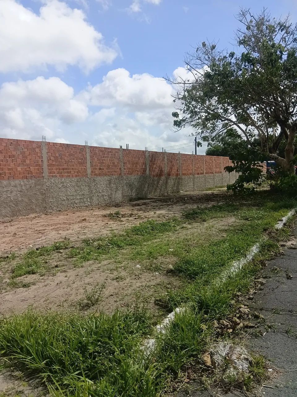 Terreno expoema aluguel - Foto 5