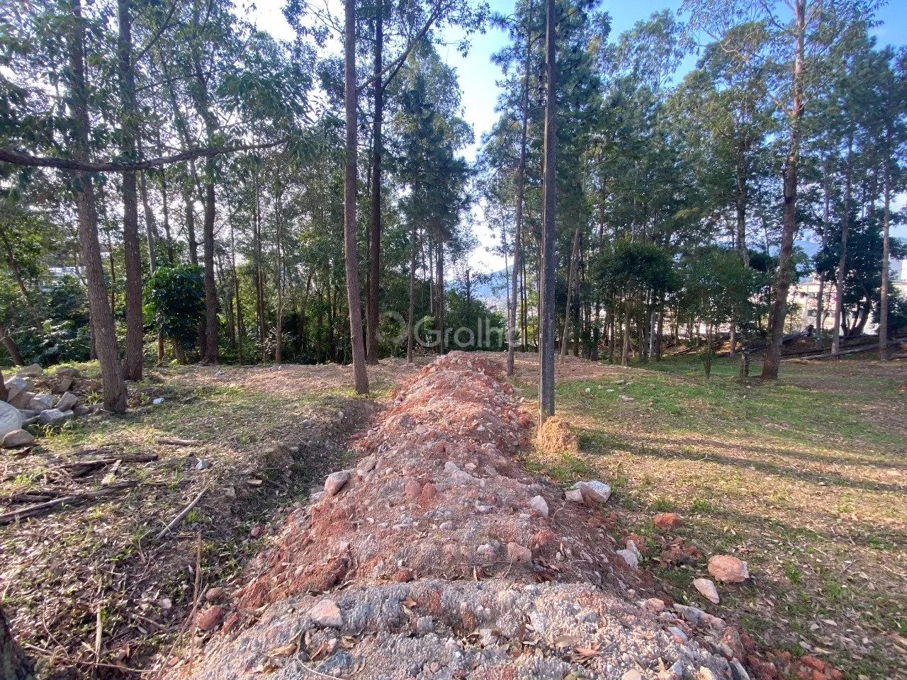 Terreno de 1.500m² no Pantanal - Foto 4