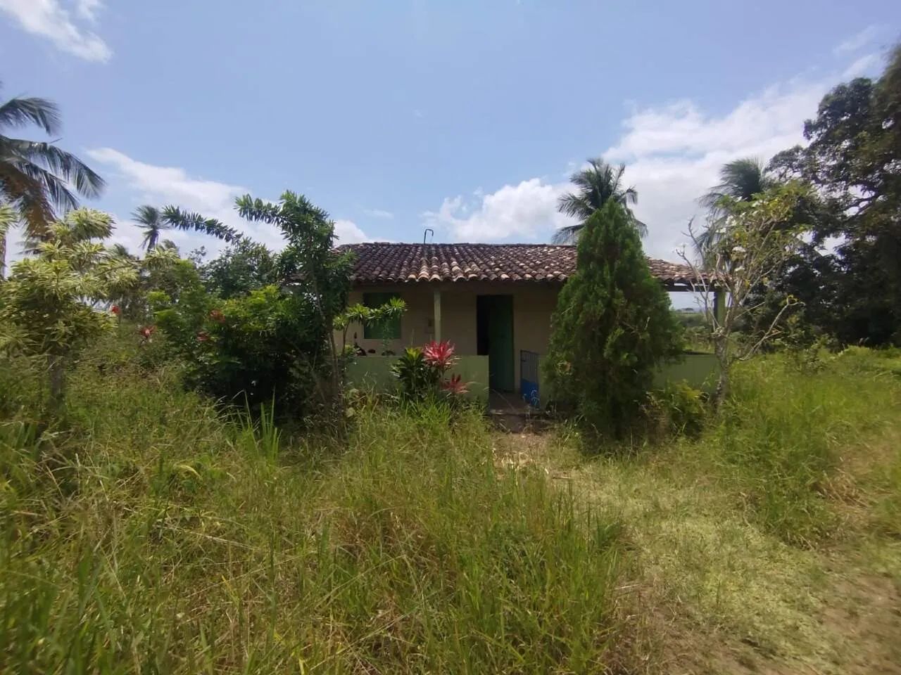 SÍTIO À VENDA  POVOADO SACO, SÃO DOMINGOS/SE - Foto 2