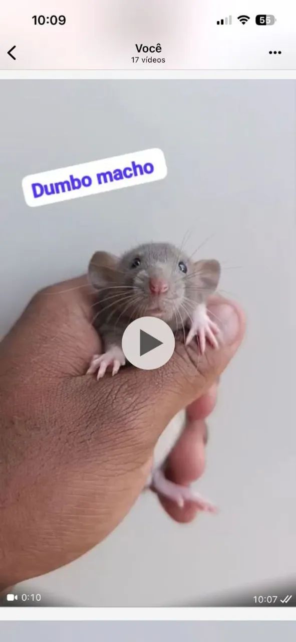 Rato twister  - Foto 5