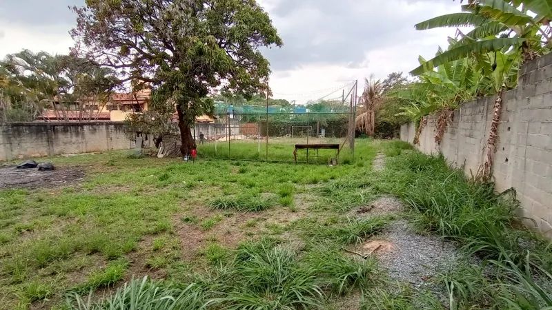 LOTE | FLEMING