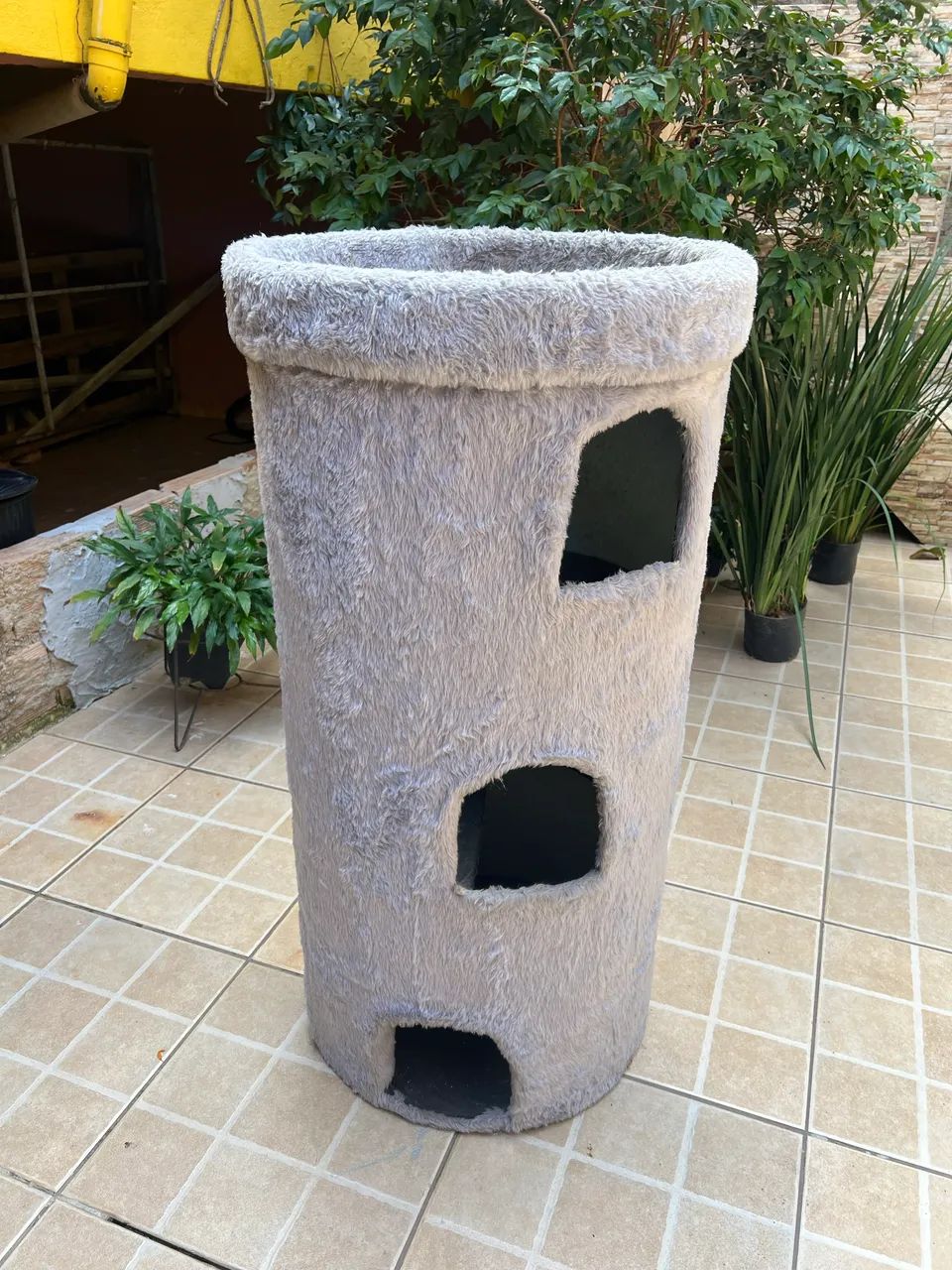 Gato - Foto 3