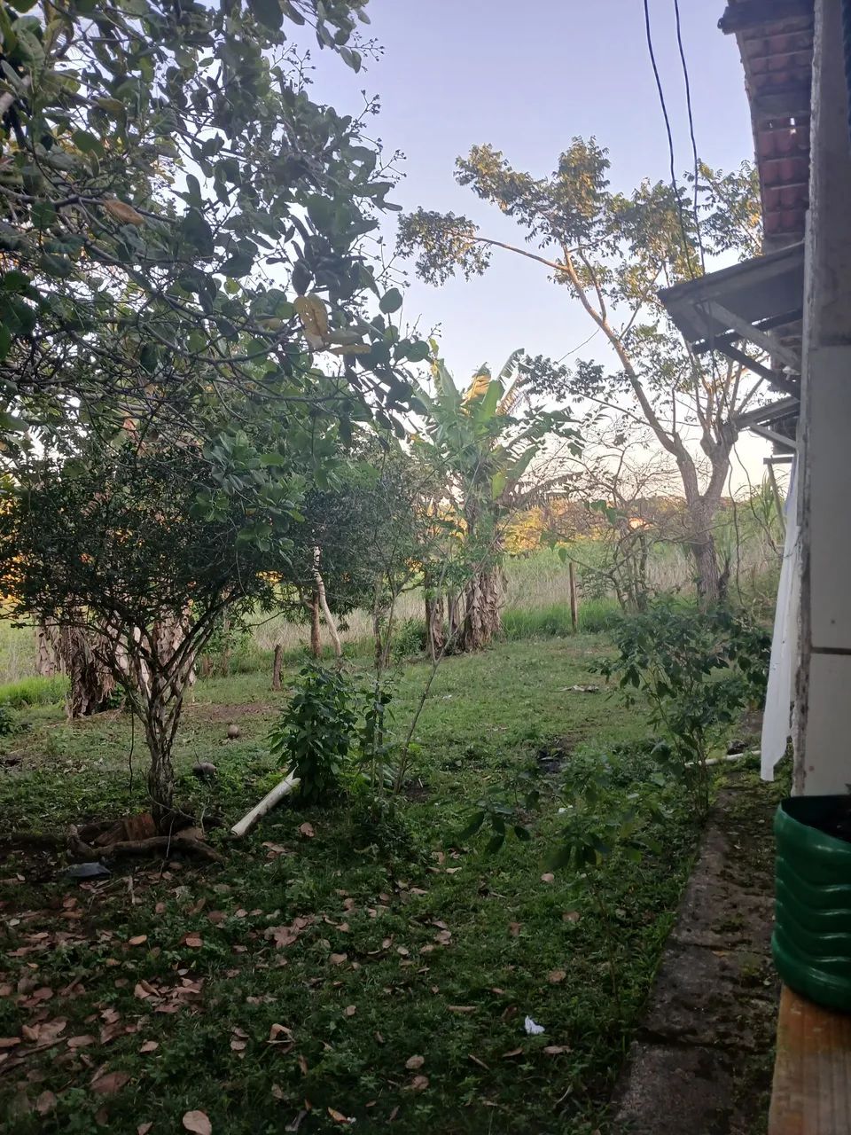 Excelente Sítio - Foto 5
