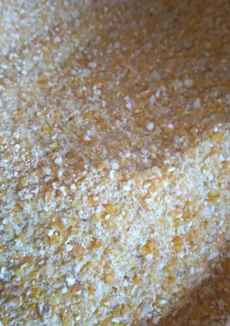 Milho em Grãos, Soja em Grãos e Farelo de Soja moído e Farelo de milho moído - Foto 4