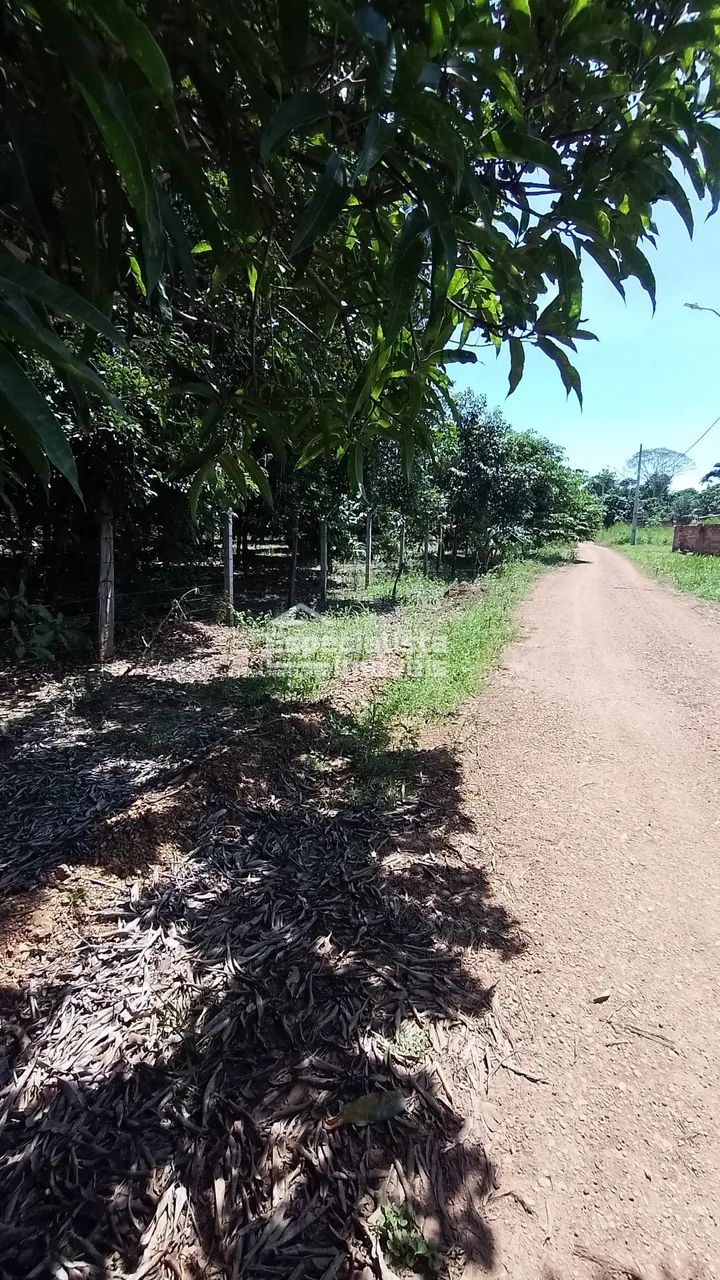 TERRENO AV. IBRAIM SUED - Foto 4
