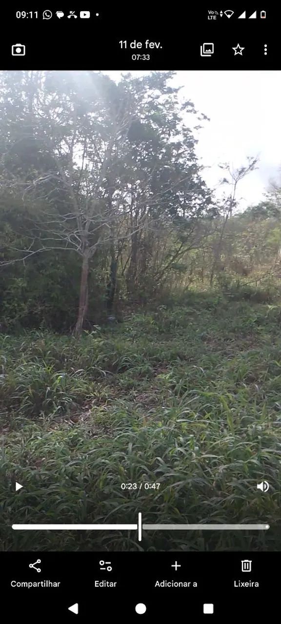 Terreno