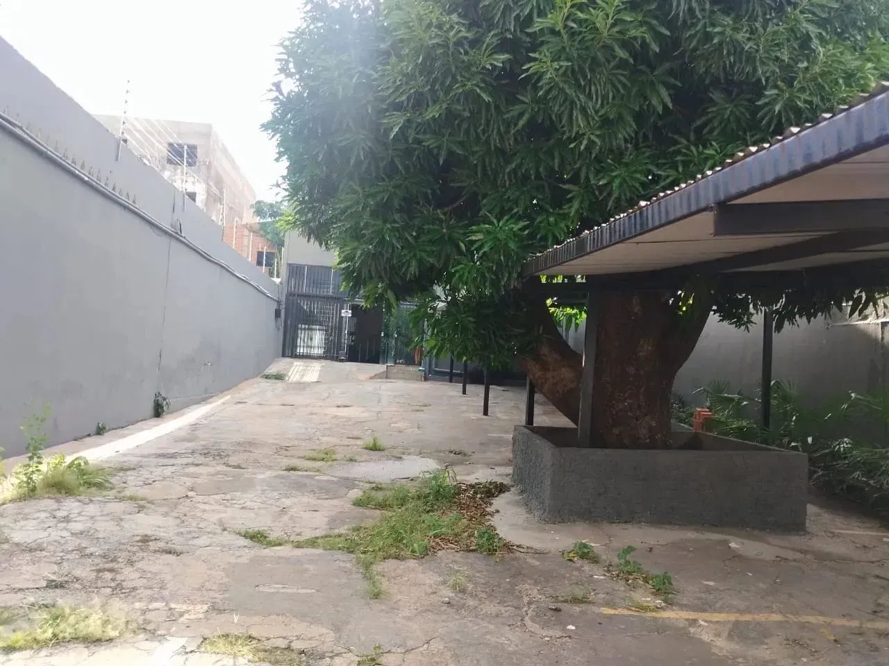 prádio comercial paralelo  com coronel escolstico - Foto 2