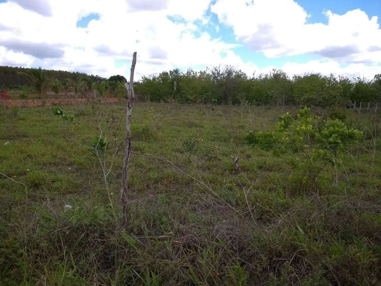 Vendo Terreno em Itaporanga  - Foto 4