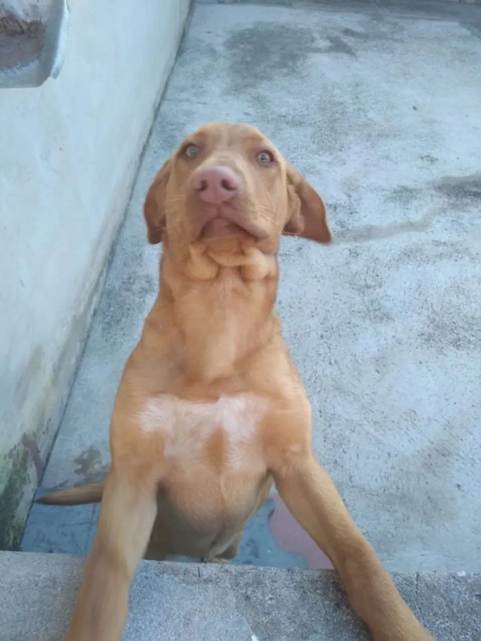 Doa-se  - Foto 5