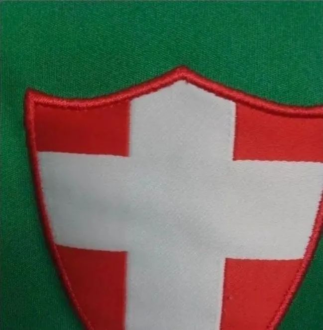 Camisa Palmeiras Savóia (3a camisa) 2015 M - Foto 3