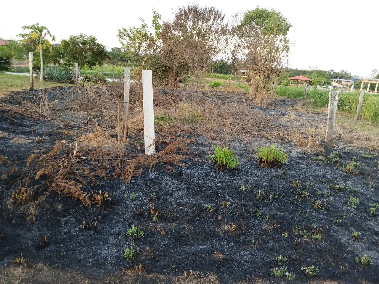 Terreno  - Foto 3
