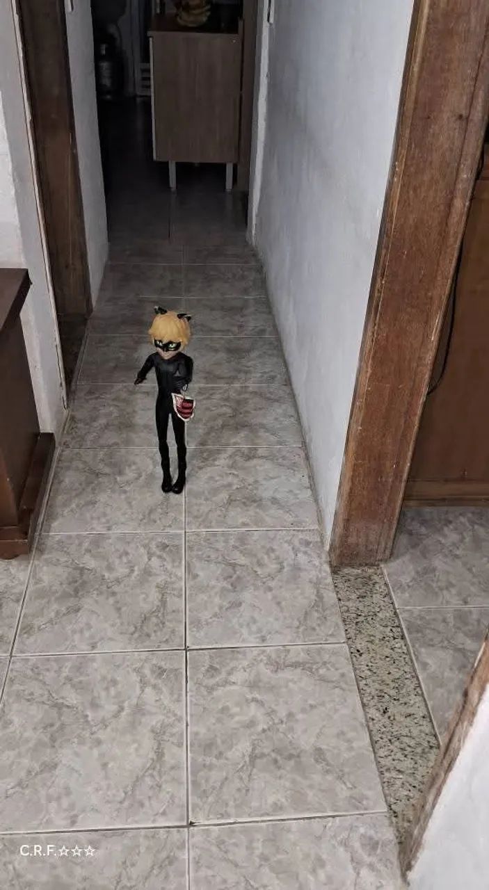 Boneco Cat Noir - Foto 2