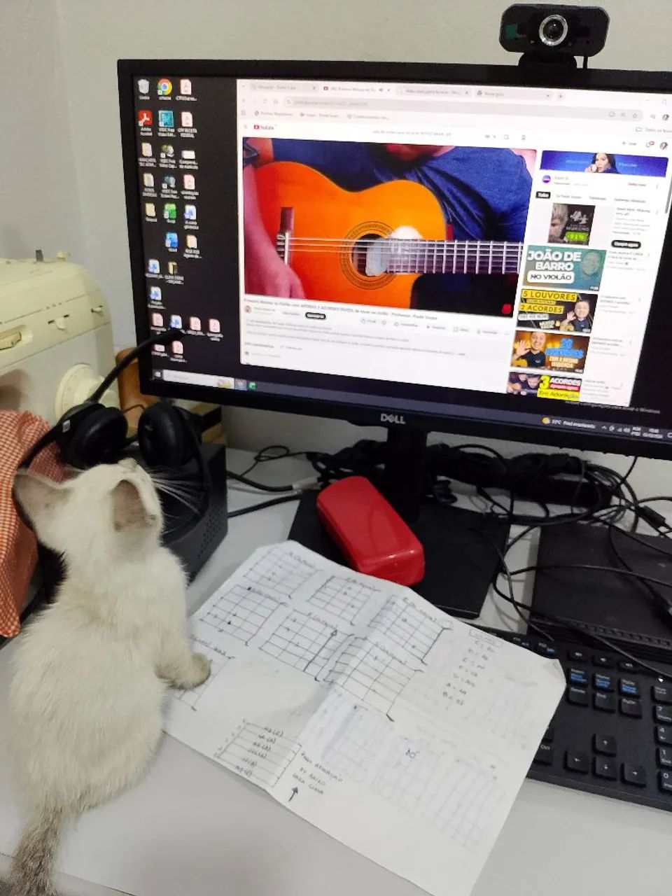 Adoção Responsável  - Foto 3