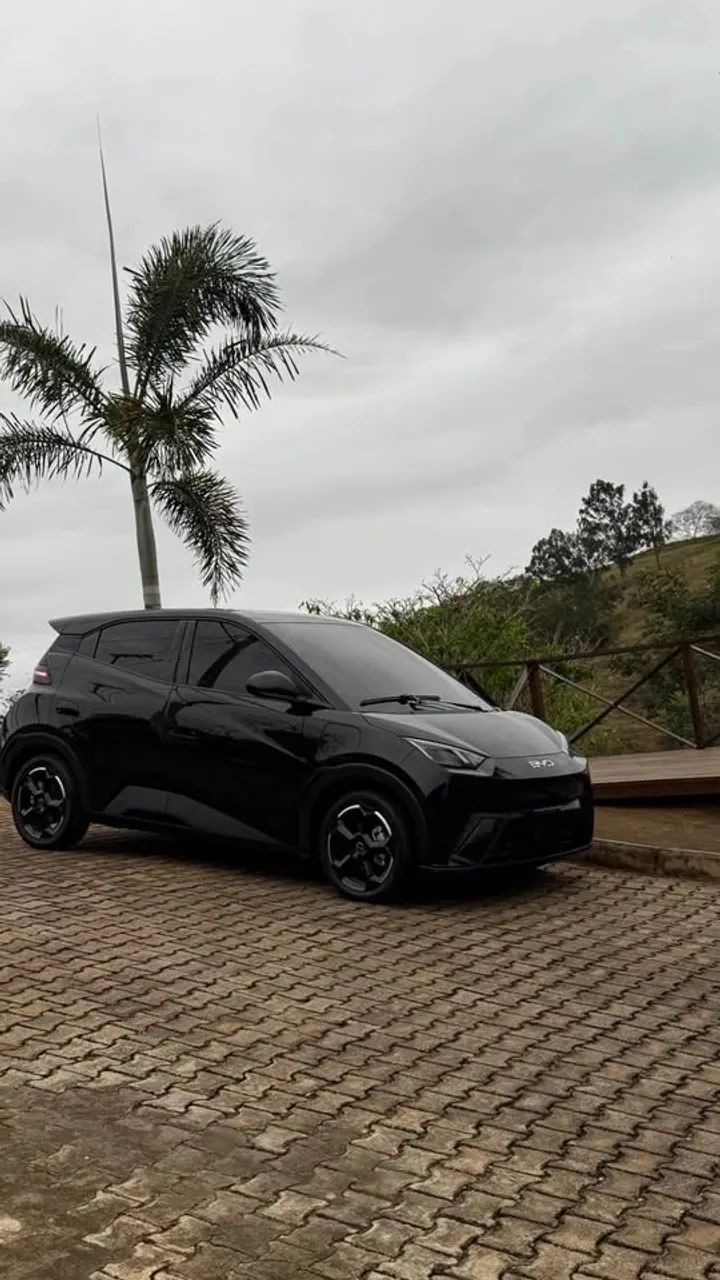 BYD Dolphin Mini (Elétrico) 2024