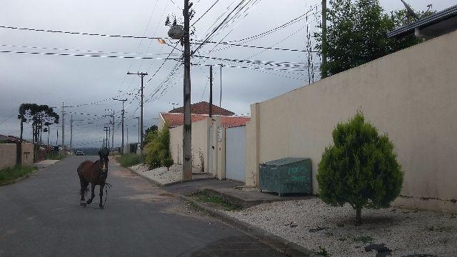 Terreno Colombo- Bairro Sta. Tereza- a vista R$125.000,00- - Foto 3