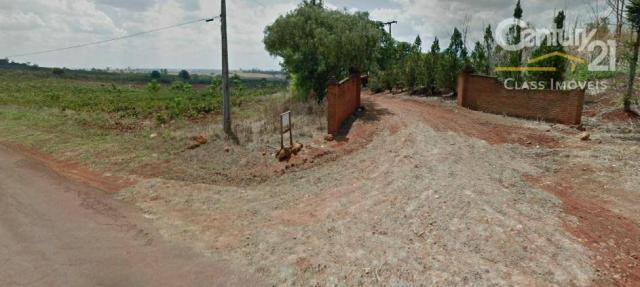 Sítio rural à venda, gleba palhano, londrina. - Foto 4