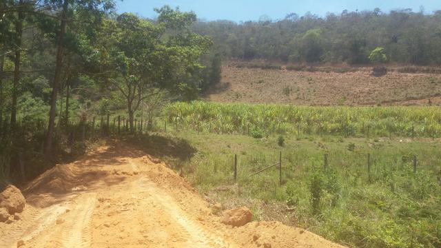 Ótimo Sítio com 24,74 hectares terra em Itaipé - Foto 2