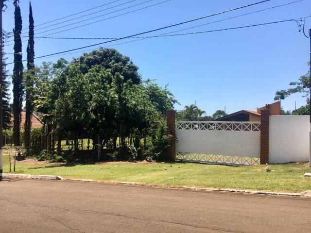 Chácara no condomínio green village com 1 dormitório à venda, 5000 m² - jardim santa adela - Foto 4
