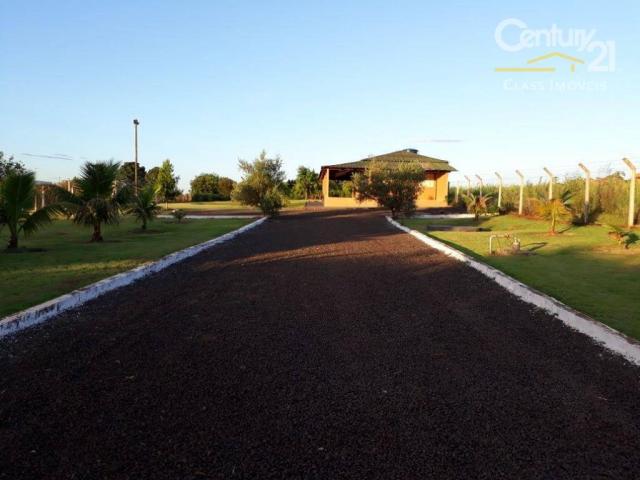 Chácara rural à venda, limoeiro, londrina. - Foto 3