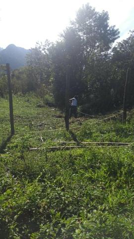 Terreno 250 m - Foto 6