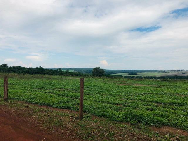 Prima.Vera do Oeste MT 1000 ha