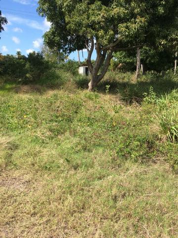 Chácara na Pista em Caravelas Próximo ao Aeroporto -Parcelo/Troco Imóvel em Porto Seguro - Foto 5