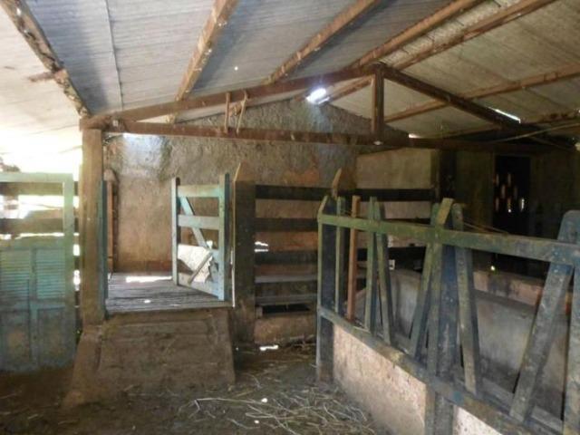 Sítio de 14 alqueires em Silva Jardim, RJ - Foto 3