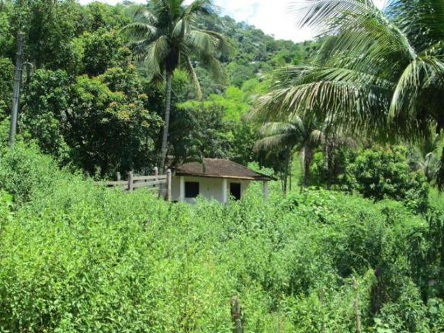 Sítio de 14 alqueires em Silva Jardim, RJ - Foto 6