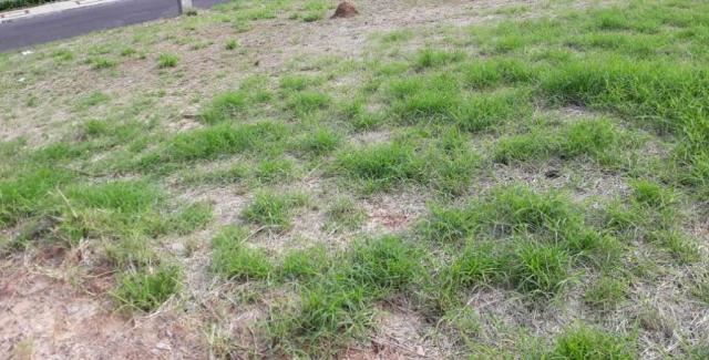 Terreno plano de barbada bairro guarani - Foto 3