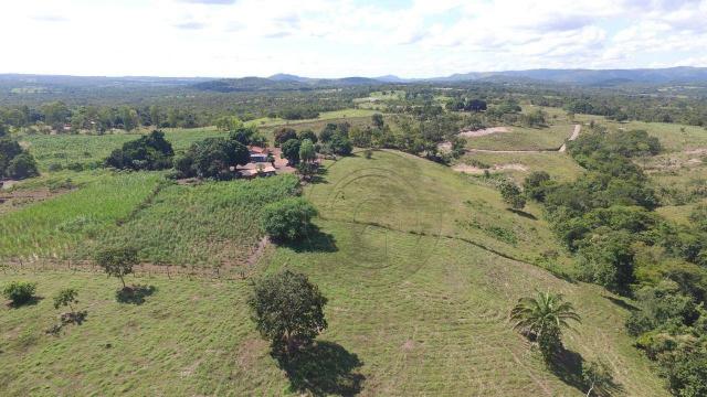 Sítio 70ha região acorizal 60km de cuiabá - Foto 7