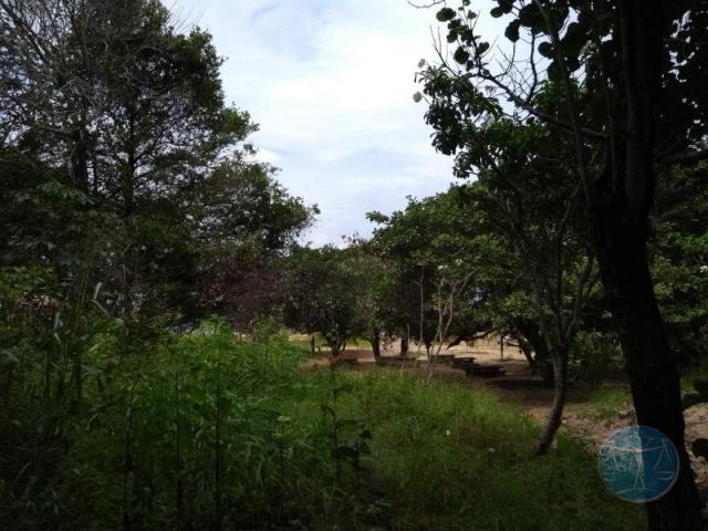 Terreno à venda em Lagoa do bonfim, Nísia floresta cod:10604 - Foto 10