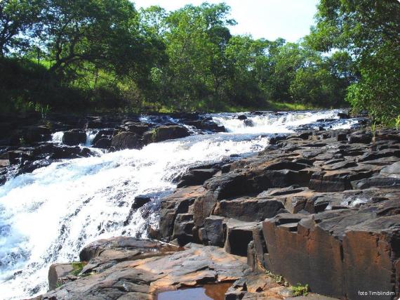 Fazenda à venda, 8 quartos, vila neusa - campo grande/ms - Foto 5