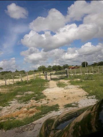 Fazenda em forquilha 130 hectares - Foto 10