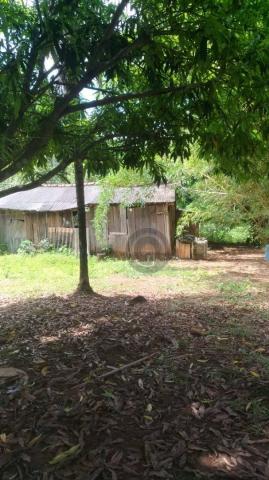 Sítio 20 ha região baú da guia mt - Foto 2