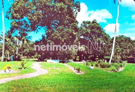 Terreno à venda em Fazenda exemplo, Cachoeira cod:766495 - Foto 8