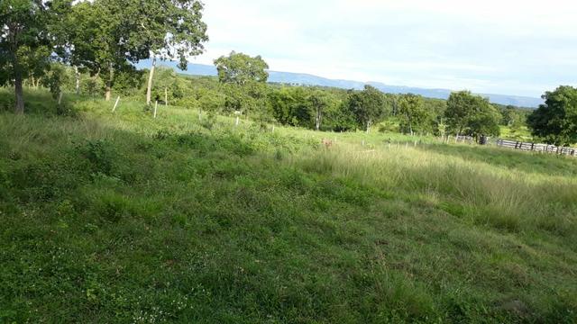 Sitio