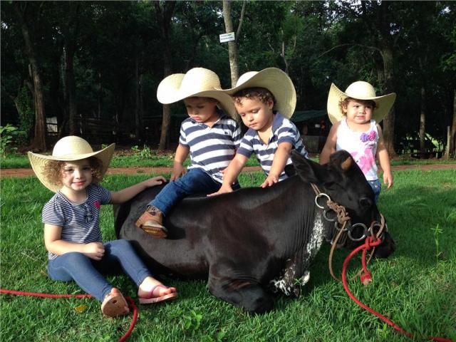 Fazenda à venda, 8 quartos, vila neusa - campo grande/ms - Foto 12