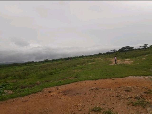Fazenda em forquilha 130 hectares - Foto 2