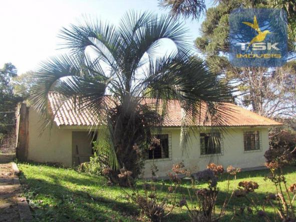 CH0252 - Agudos do Sul Chácara 10.000 m² frente asfalto 2 km da cidade