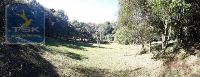 CH0143 - Quitandinha - 7.000 m² - Área para formar chácara - Foto 6