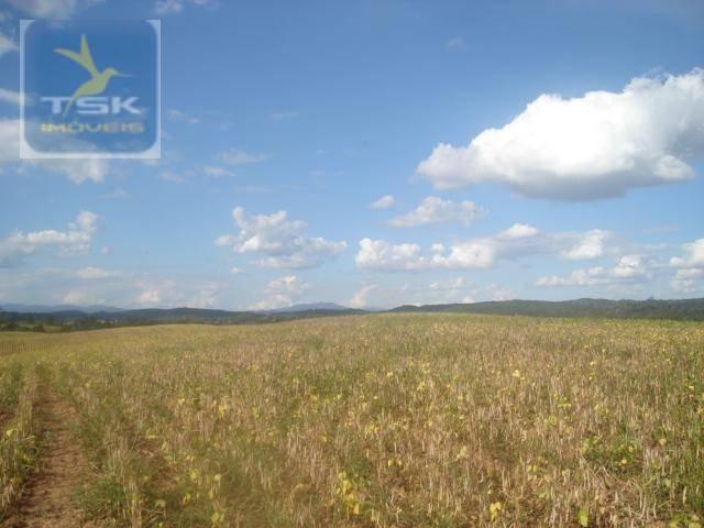 Fazenda em Quitandinha - (Cerrinho) -