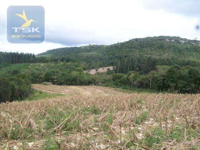 Fazenda em Quitandinha - (Cerrinho) - - Foto 11