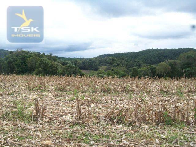 Fazenda em Quitandinha - (Cerrinho) - - Foto 8